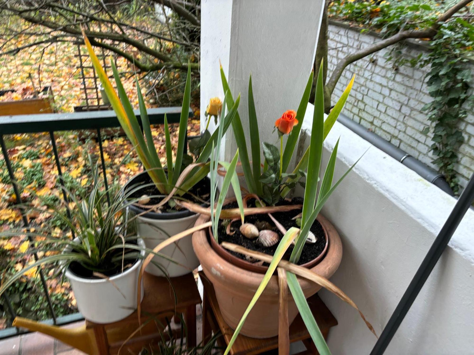 Koeln Wohnung 4 Min Naehe Von Hbf Und Dom Mit Garten ,Balkon & Office Exterior photo